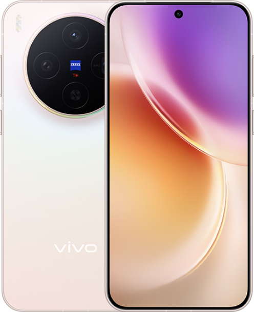Vivo X300